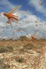 Watch Swarm Chasers: Locusts Wootly