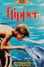 Watch Flipper Wootly