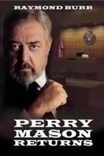 Watch Perry Mason Returns Wootly