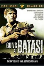 Watch Guns at Batasi Wootly