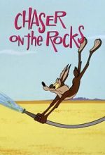 Watch Chaser on the Rocks (Short 1965) Wootly