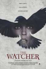 Watch The Ravens Watch Wootly