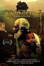 Watch A Walnut Tree Wootly