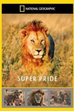 Watch National Geographic: Super Pride  Africa's Largest Lion Pride Wootly