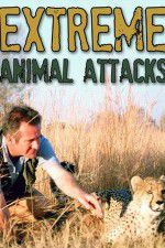 Watch Extreme Animal Attacks Wootly