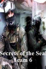 Watch Discovery Channel Secrets of Seal Team 6 Wootly