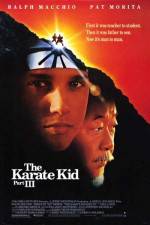 Watch The Karate Kid, Part III Wootly