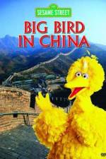 Watch Big Bird in China Wootly