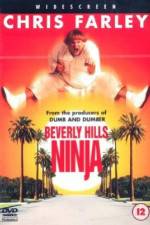 Watch Beverly Hills Ninja Wootly