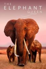 Watch The Elephant Queen Wootly