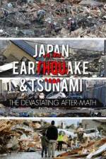 Watch Japan Aftermath of a Disaster Wootly