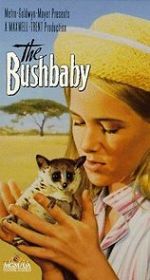 Watch The Bushbaby Wootly