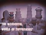 Watch The Wonderful World of Tupperware (Short 1965) Wootly