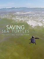 Watch Saving Sea Turtles: Preventing Extinction Wootly