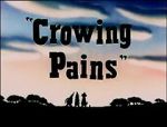 Watch Crowing Pains (Short 1947) Wootly