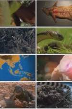 Watch National Geographic Wild : Deadliest Animals Asia Pacific Wootly