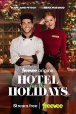 Watch Hotel for the Holidays Wootly