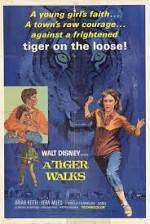 Watch A Tiger Walks Wootly
