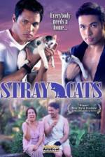 Watch Stray Cats Wootly