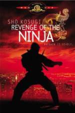 Watch Revenge of the Ninja Wootly