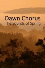 Watch Dawn Chorus: The Sounds of Spring Wootly