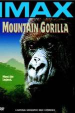 Watch Mountain Gorilla Wootly