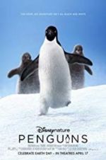 Watch Penguins Wootly