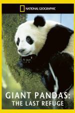 Watch National Geographic Giant Pandas The Last Refuge Wootly