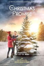 Watch The Christmas Promise Wootly