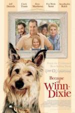 Watch Because of Winn-Dixie Wootly