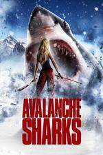 Watch Avalanche Sharks Wootly