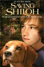 Watch Saving Shiloh Wootly
