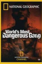 Watch National Geographic World's Most Dangerous Gang Wootly