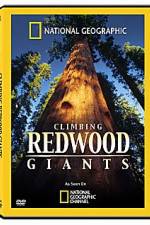Watch National Geographic Explorer: Climbing Redwood Giants Wootly