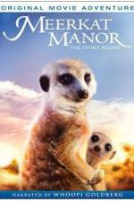 Watch Meerkat Manor The Story Begins Wootly