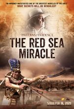 Watch Patterns of Evidence: The Red Sea Miracle Wootly