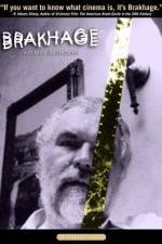 Watch Brakhage Wootly