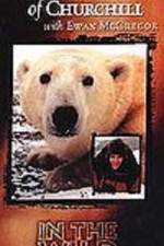 Watch The Polar Bears of Churchill with Ewan McGregor Wootly