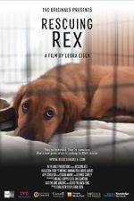 Watch Rescuing Rex Wootly