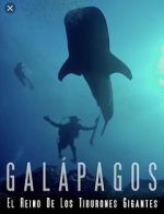 Watch Galapagos: Realm of Giant Sharks Wootly
