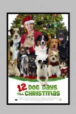 Watch 12 Dog Days of Christmas Wootly