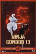 Watch Ninjas Condors 13 Wootly