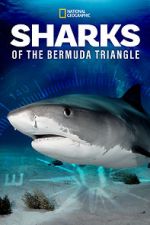 Watch Sharks of the Bermuda Triangle (TV Special 2020) Wootly