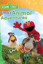 Watch Elmos Animal Adventures Wootly