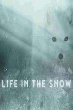 Watch Life in the Snow Wootly