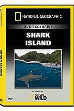 Watch National Geographic: Shark Island Wootly