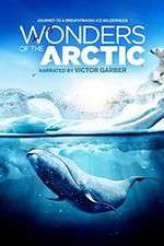 Watch Wonders of the Arctic 3D Wootly