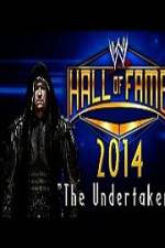 Watch WWE Hall Of Fame 2014 Wootly