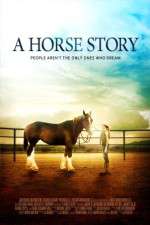 Watch A Horse Story Wootly