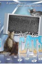 Watch Shorts for Cats Wootly